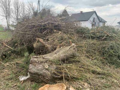 Biomasa drzewna darmowy odbiór